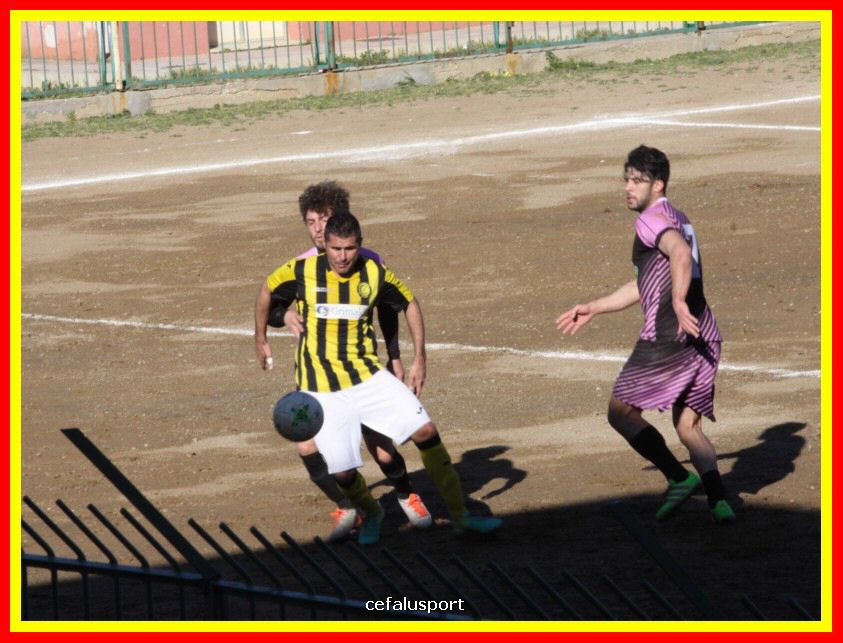 190310 Cephal_Torrenov 121_tn.jpg